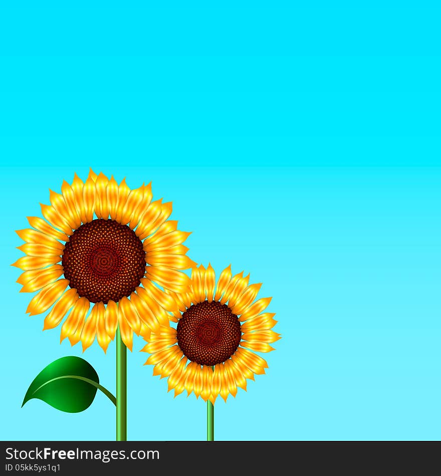 Background with sunflowers