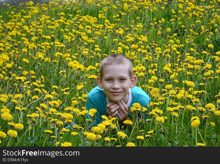 The Boy On A Clearing From Dandelions