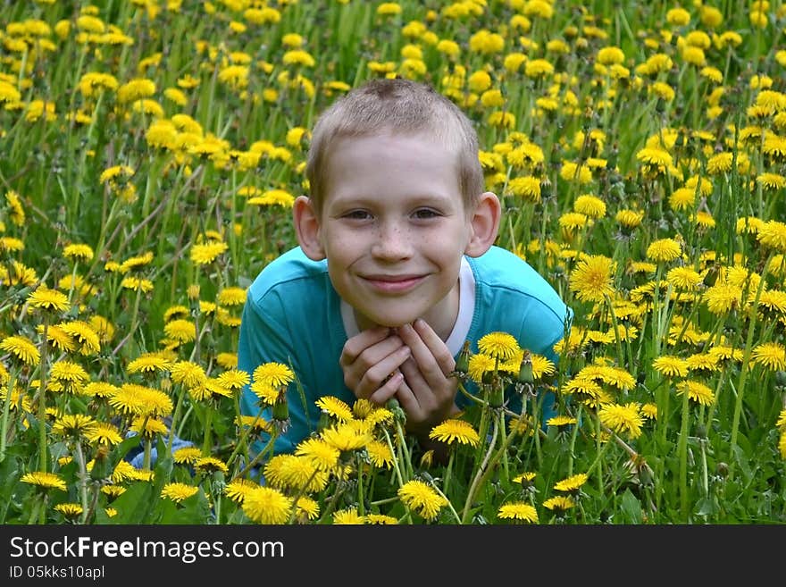 The happy teenager sits on a clearing from dandelions. The happy teenager sits on a clearing from dandelions