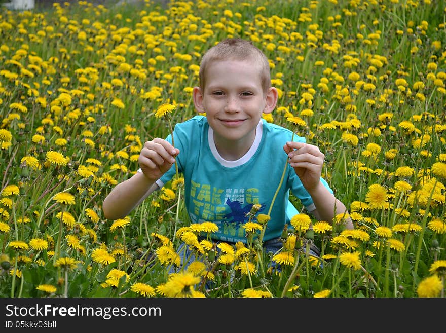 The boy on a clearing from dandelions