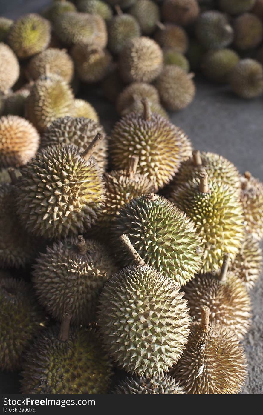 The durian is the fruit of several tree species belonging to the genus Durio and the family Malvaceae (although some taxonomists place Durio in a distinct family, Durionaceae). Regarded by many people in southeast Asia as the king of fruits, the durian is distinctive for its large size, strong odour, and formidable thorn-covered husk. The fruit can grow as large as 30 centimetres (12 in) long and 15 centimetres (6 in) in diameter, and it typically weighs one to three kilograms (2 to 7 lb). Its shape ranges from oblong to round, the colour of its husk green to brown, and its flesh pale yellow to red, depending on the species. The durian is the fruit of several tree species belonging to the genus Durio and the family Malvaceae (although some taxonomists place Durio in a distinct family, Durionaceae). Regarded by many people in southeast Asia as the king of fruits, the durian is distinctive for its large size, strong odour, and formidable thorn-covered husk. The fruit can grow as large as 30 centimetres (12 in) long and 15 centimetres (6 in) in diameter, and it typically weighs one to three kilograms (2 to 7 lb). Its shape ranges from oblong to round, the colour of its husk green to brown, and its flesh pale yellow to red, depending on the species.