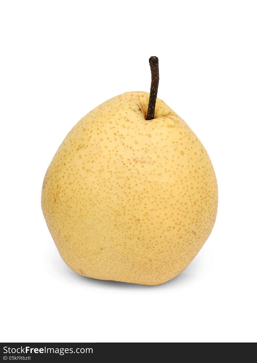 Chinese Pear