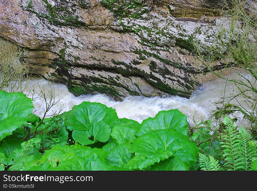 The mountain river in gorge