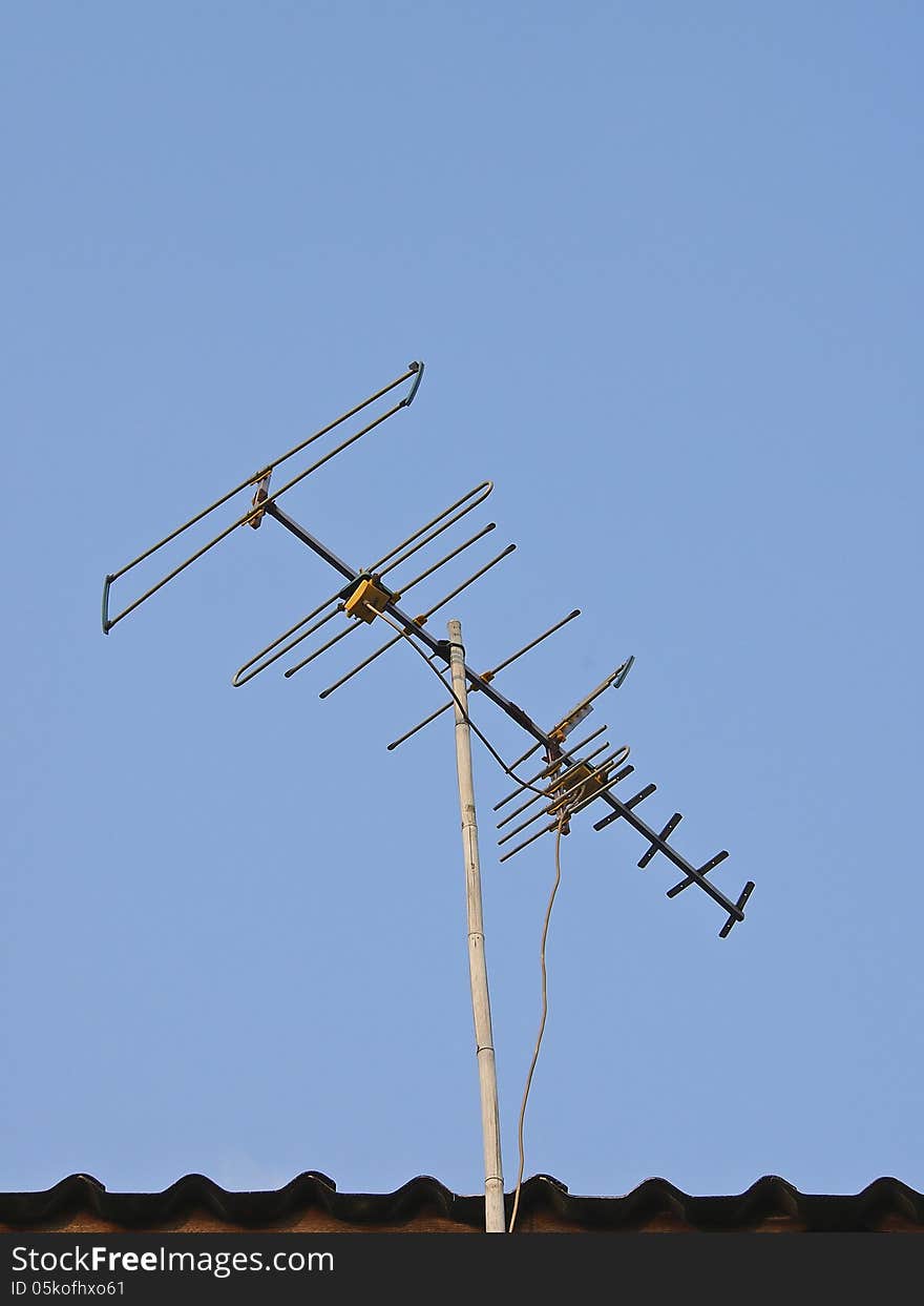 Bamboo antenna