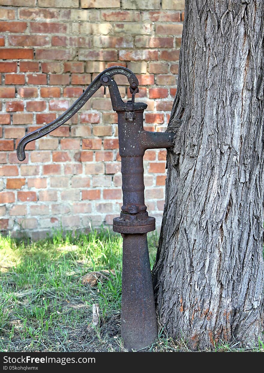 An old water pump growing into a trunk of tree. An old water pump growing into a trunk of tree