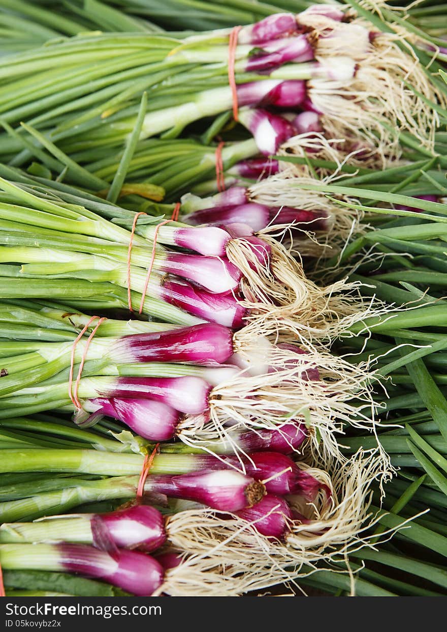 Bunches of fresh spring green onions for sale at a local farmer's market