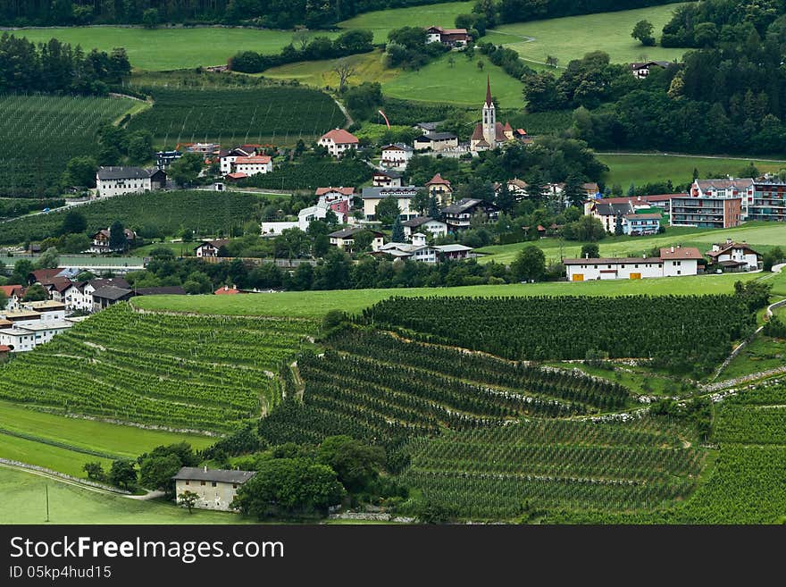 Vineyards near the Abbey of Neustift. Vineyards near the Abbey of Neustift