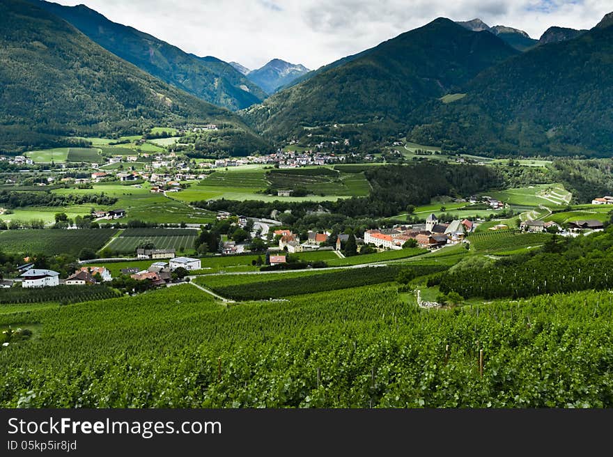 Vineyards near the Abbey of Neustift. Vineyards near the Abbey of Neustift