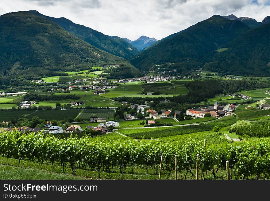 Vineyards near the Abbey of Neustift. Vineyards near the Abbey of Neustift