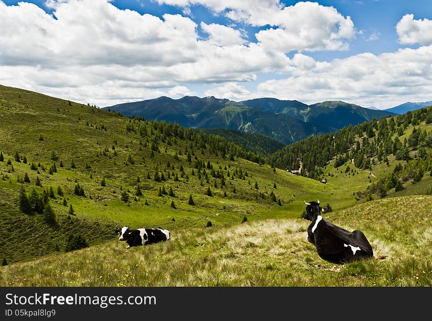 Campiler mountain, South Tyrol