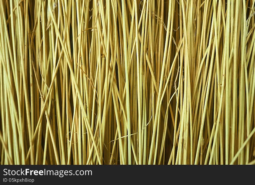 Reeds Background Texture in wide screen format.