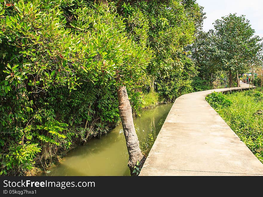 Walkway in waterside community, Nonthaburi Thailand. Walkway in waterside community, Nonthaburi Thailand