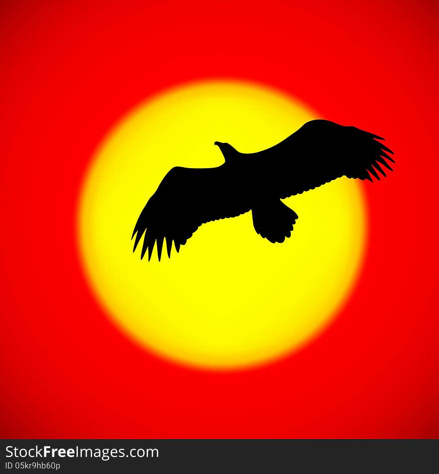 Silhouette of an eagle