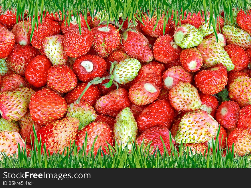 Frame of green grass on the background of wild strawberries.