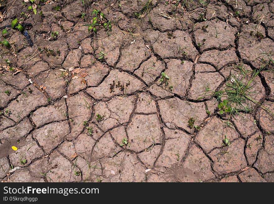 Dehydrated Soil Texture Background