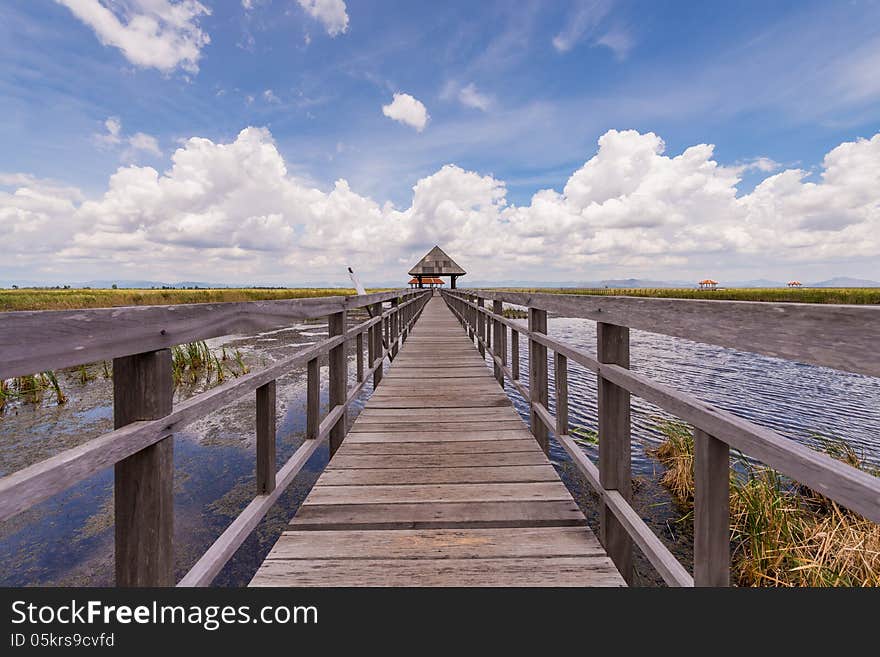 Wooden path way elevated over swamp field