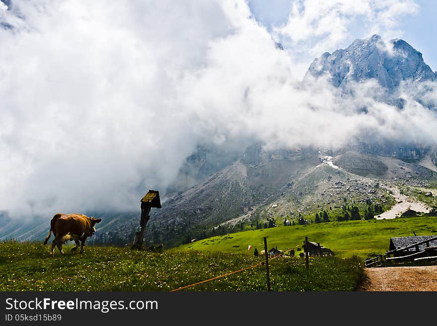 High mountain landscape in South Tyrol. High mountain landscape in South Tyrol