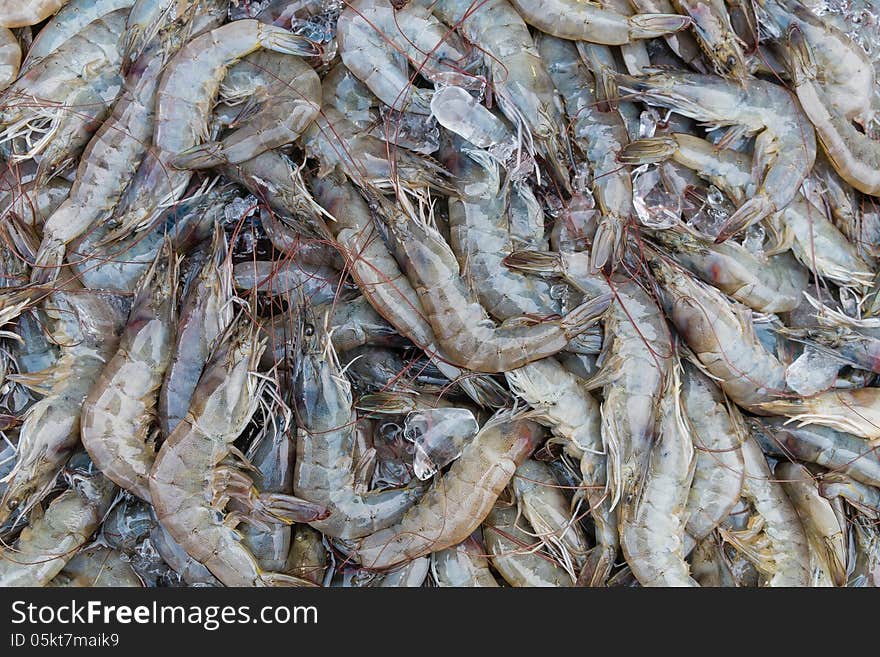 Group of fresh prawn on ice cube