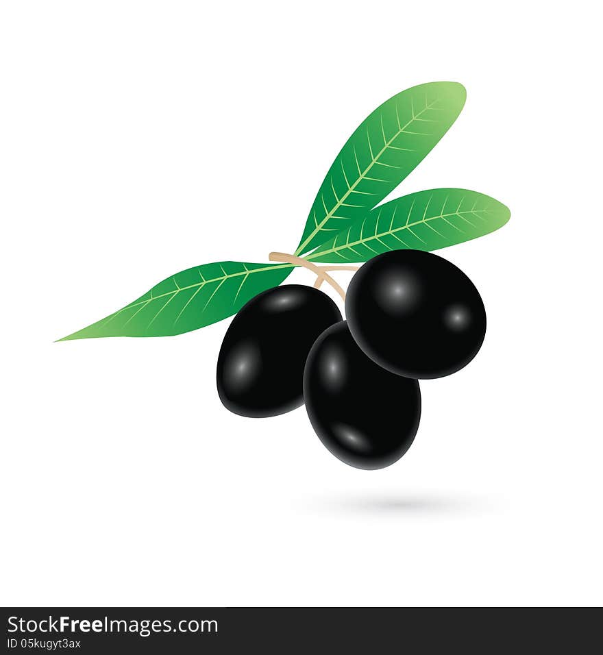 Black olives vector