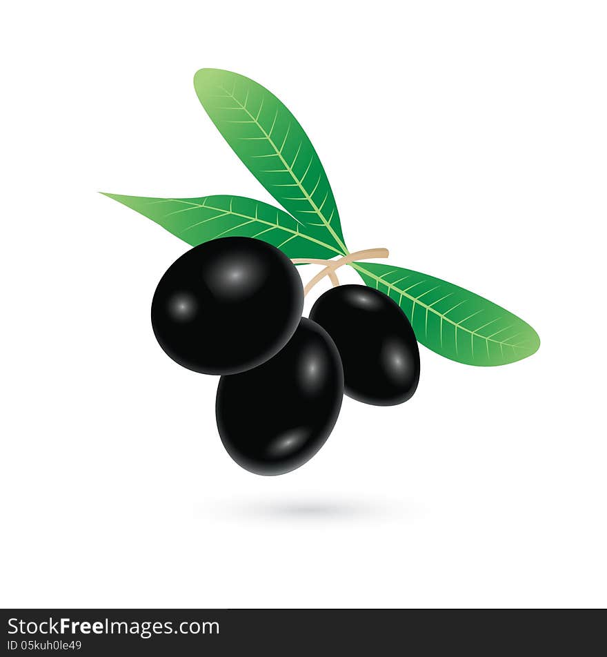 Black olives vector