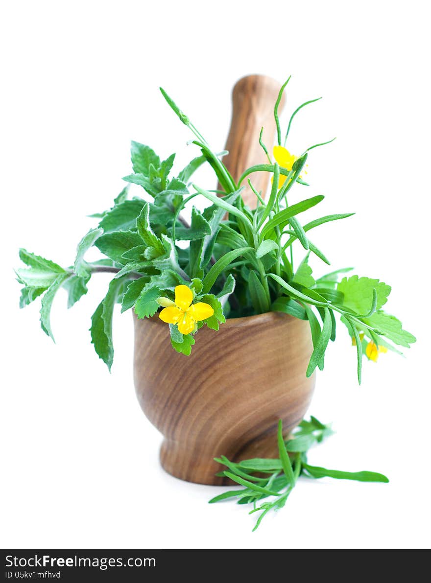 Mortar and pestle, with fresh herbs on a white background. Mortar and pestle, with fresh herbs on a white background