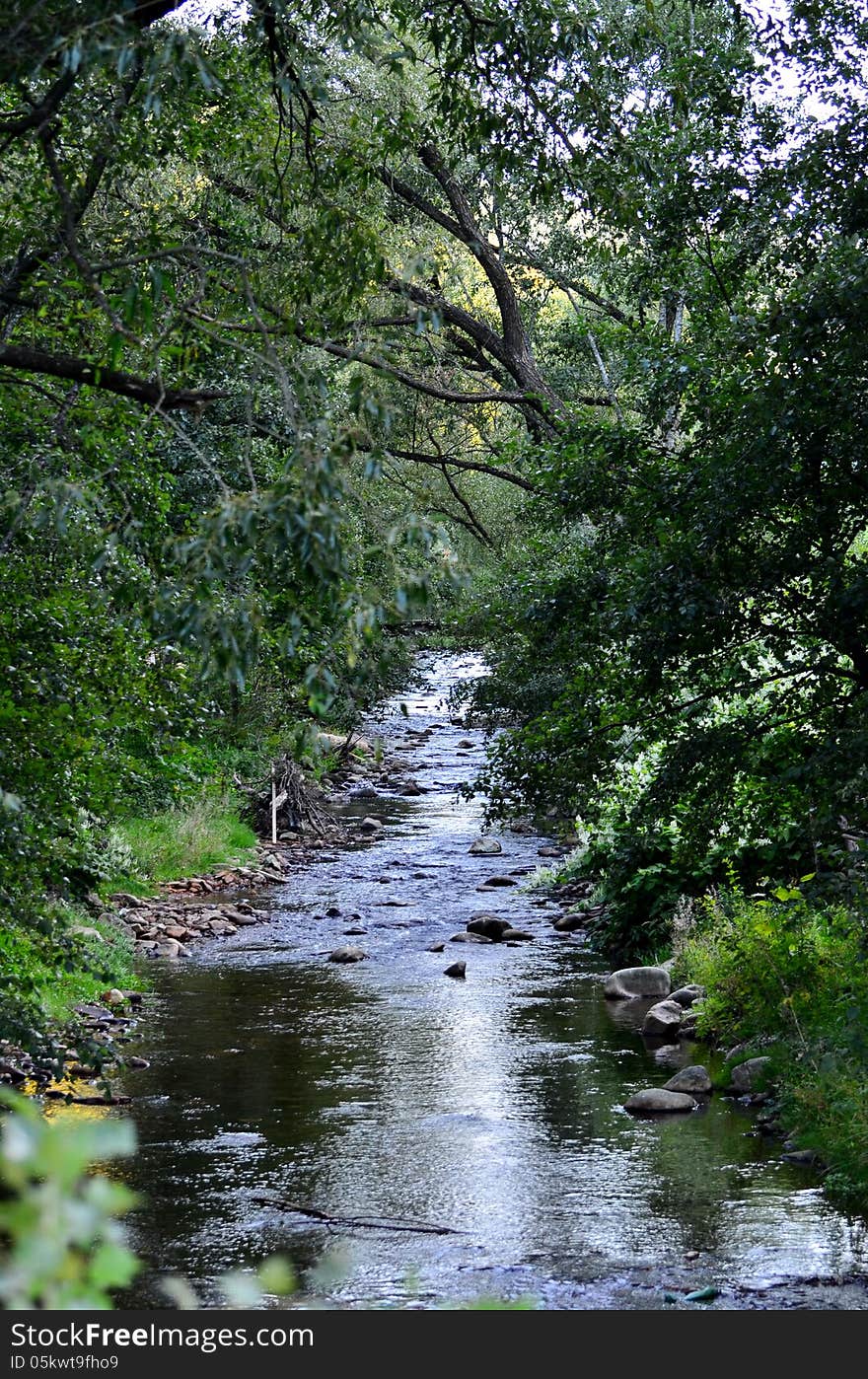 View Of The Iara Creek On Dry Season.