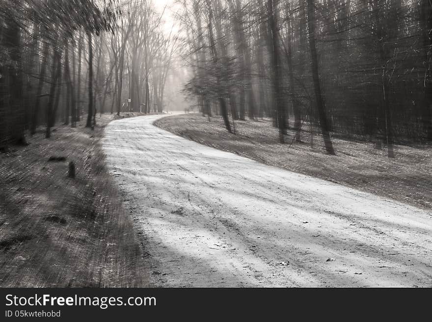 Path in the park among the trees with movement effect. Path in the park among the trees with movement effect