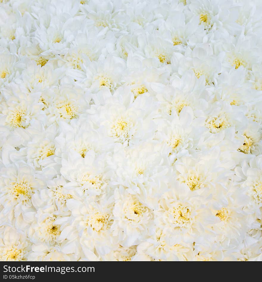 White Wedding Bouquet In  Background