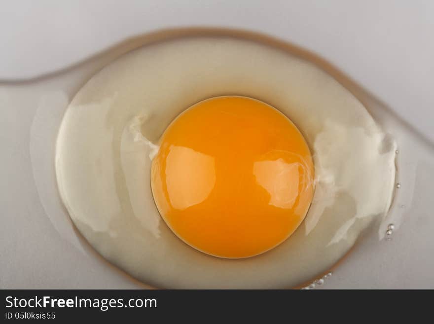 Fresh organic egg yolk closeup