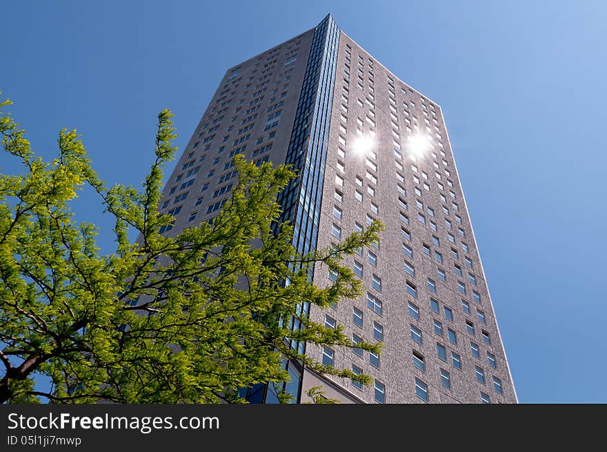 Tree, Building and Two Suns