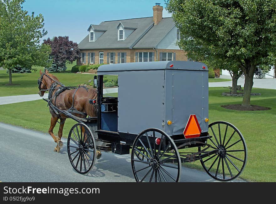 Amish Horse-drawn Carriage