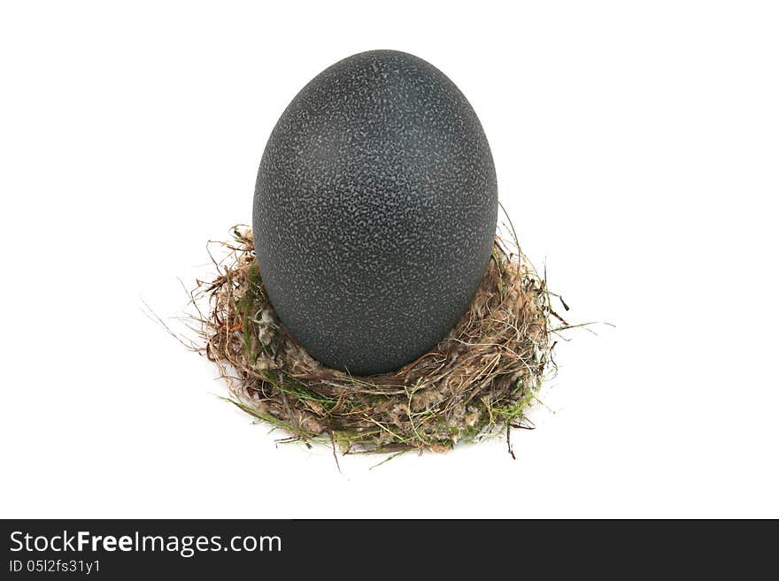 Oversize Emu Egg In Small Bird Nest. Oversize Emu Egg In Small Bird Nest