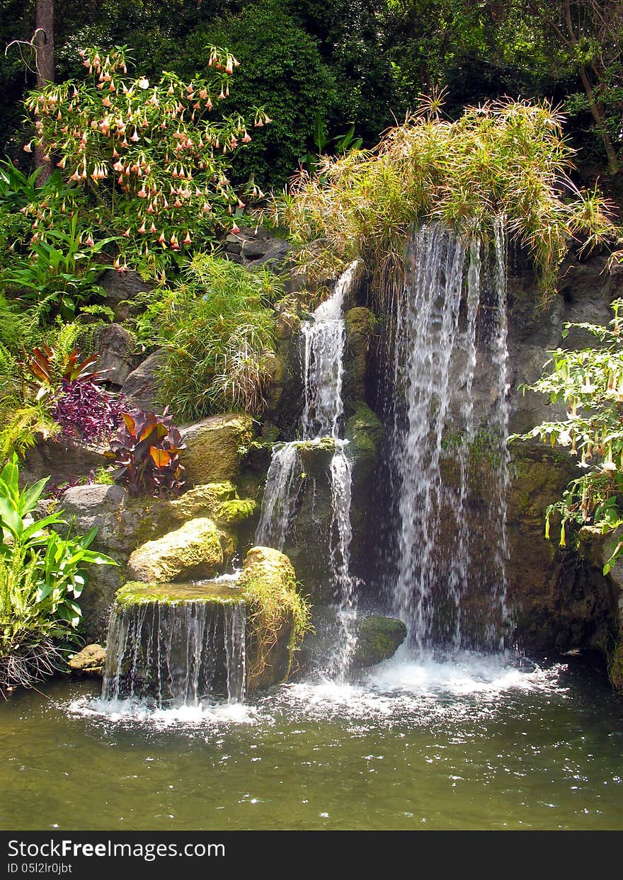 Landscaped Water Fall And Pool With Variety Of Green Plants. Landscaped Water Fall And Pool With Variety Of Green Plants