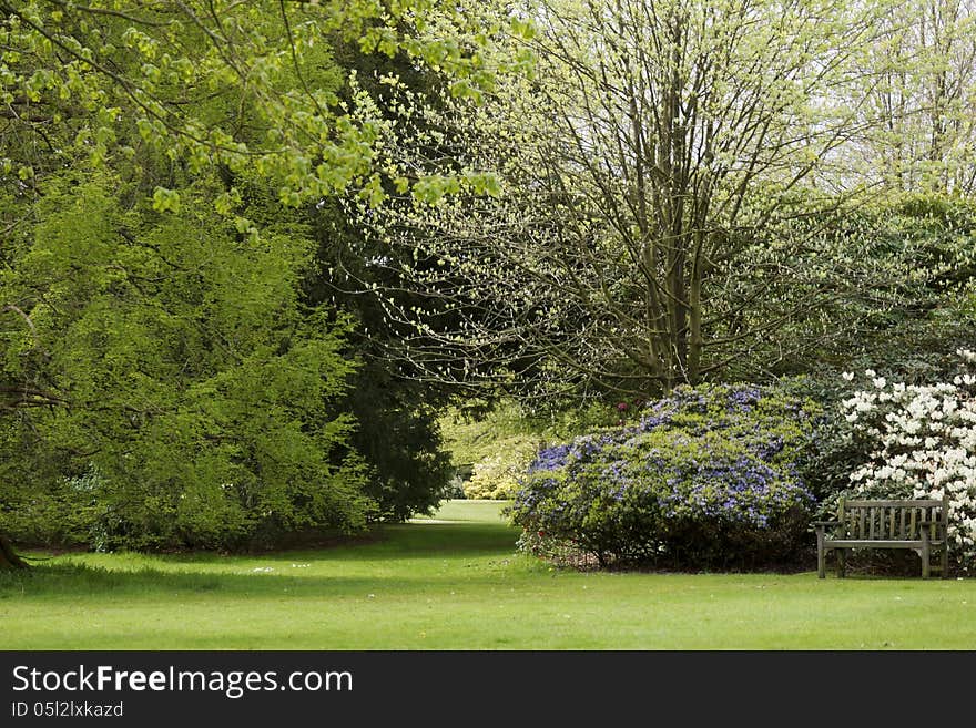 Wooden bench in Tatton Park, UK