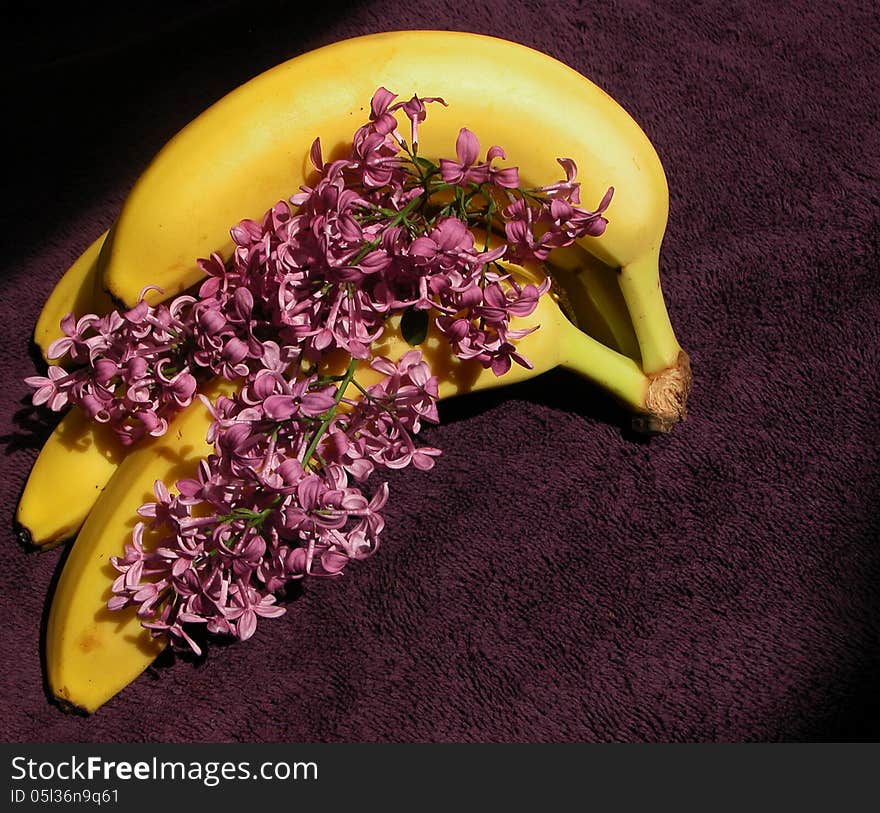 Lilas and Bananas