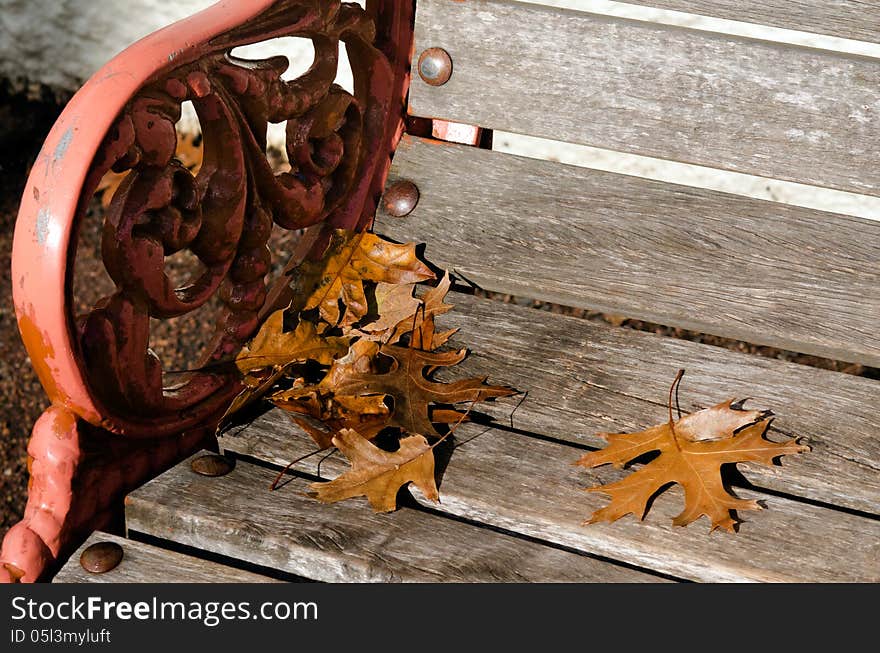 An oak tree leaves on old street bench during the Autumn fall season. An oak tree leaves on old street bench during the Autumn fall season