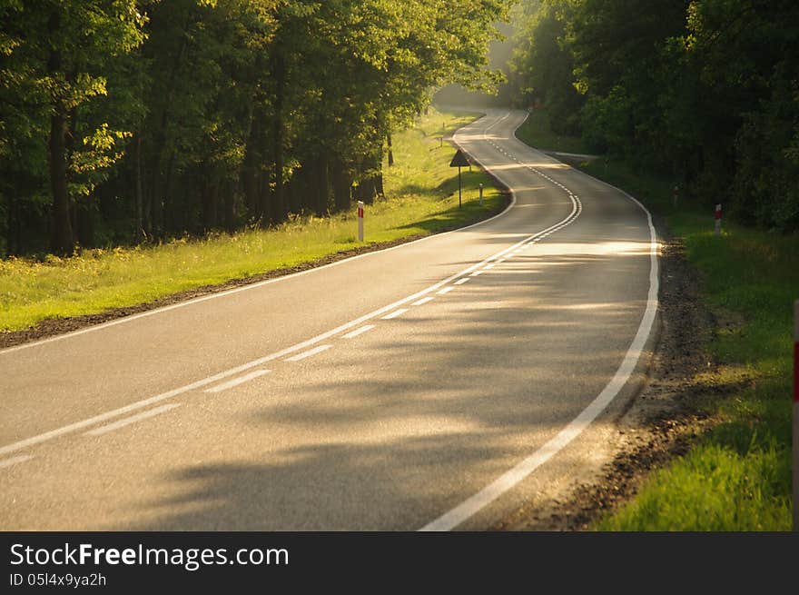 The road through the forest.