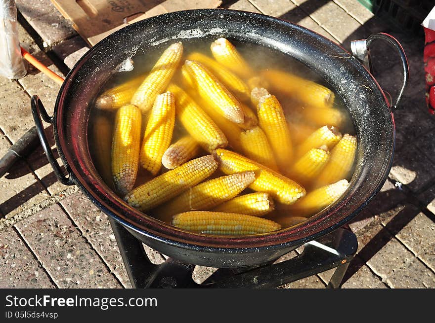 Boiled corn cob exposed outdoor in the pot.