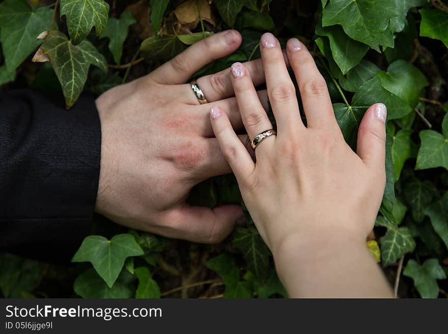 Wedding rings on the hands of the newlyweds