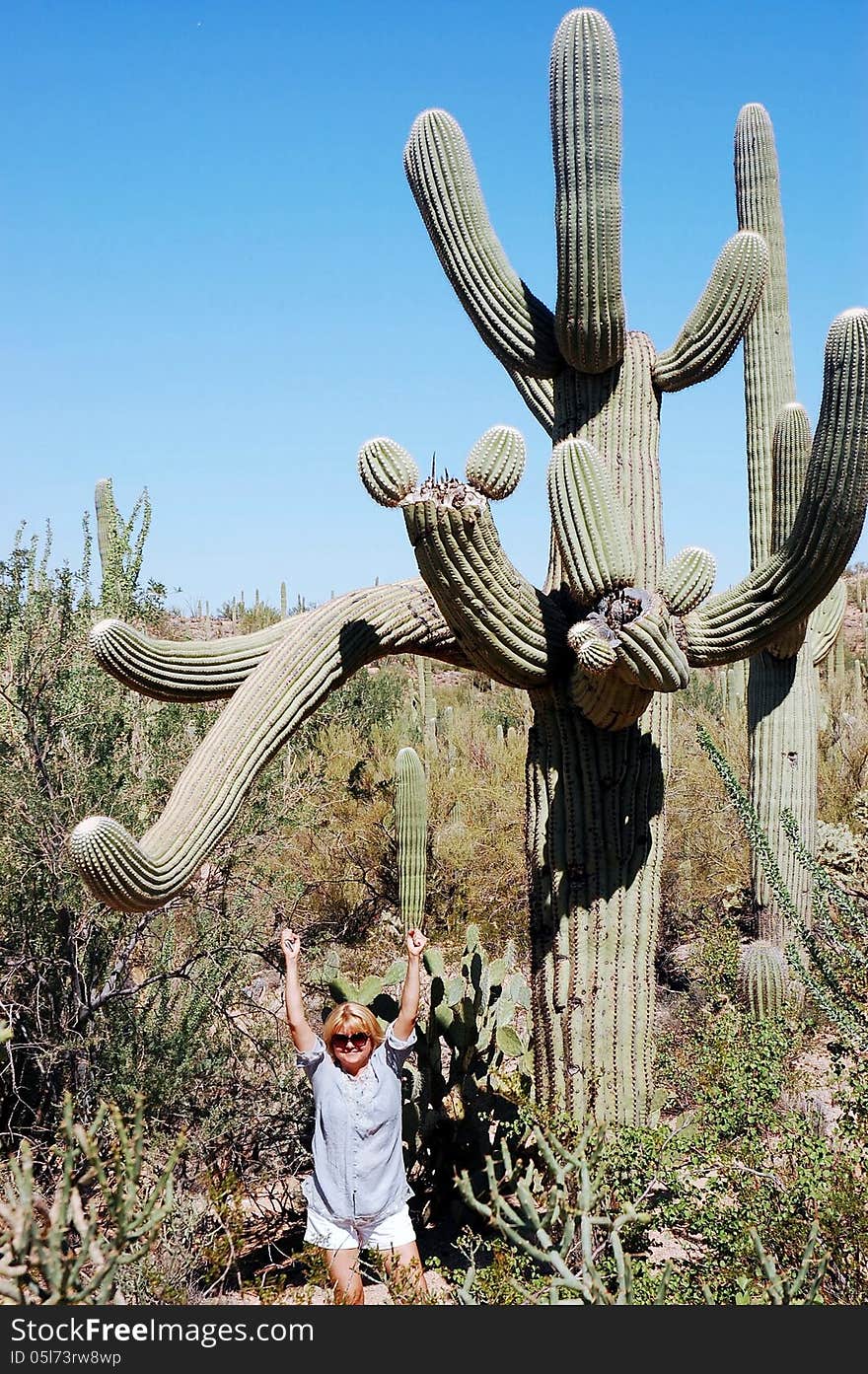 Amazing huge giant cacti in the shape of octopus , woman with height 168cm nearby as dwarf ,cant believe that this is cacti in Saguaro national park. Amazing huge giant cacti in the shape of octopus , woman with height 168cm nearby as dwarf ,cant believe that this is cacti in Saguaro national park