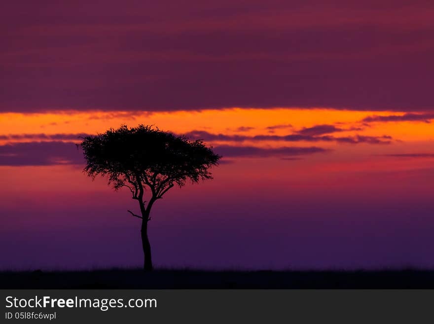 Sunrise in Masai Mara, Kenya