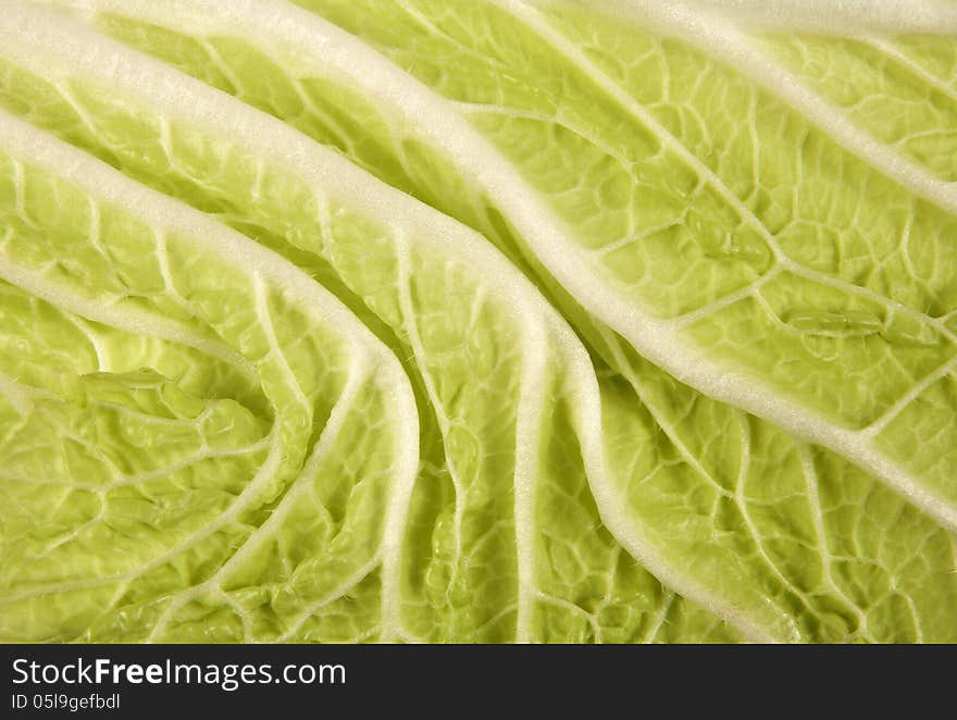 Macro view on a Chinese cabbage leaf.