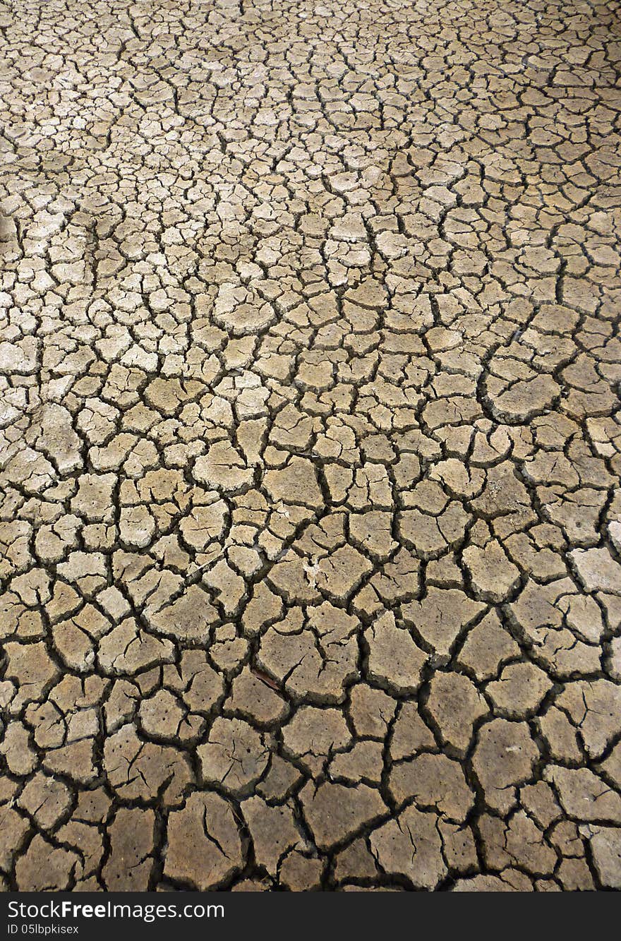 Cracked Ground for Background with Natural Drought Theme juwana indonesia