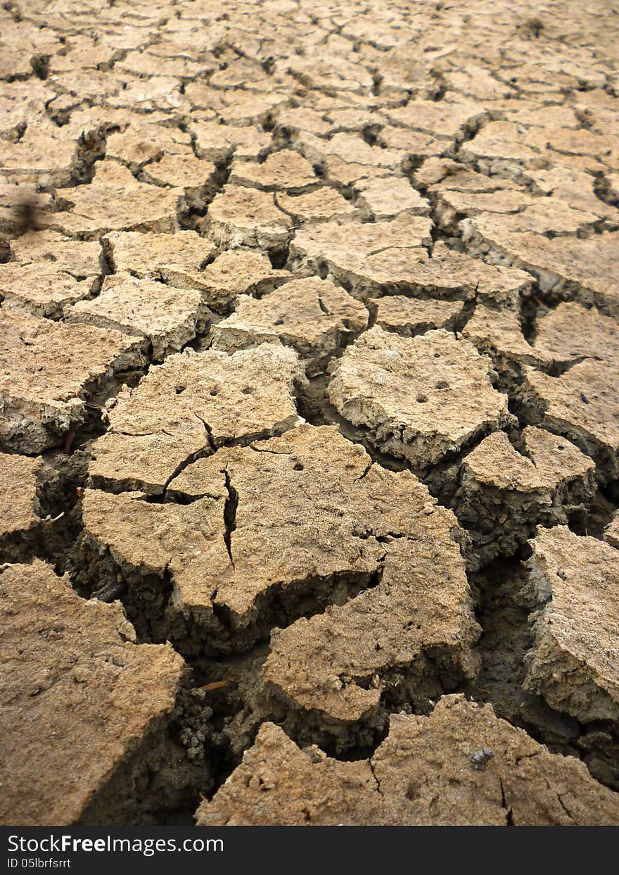 Cracked Ground for Background with Natural Drought Theme juwana indonesia