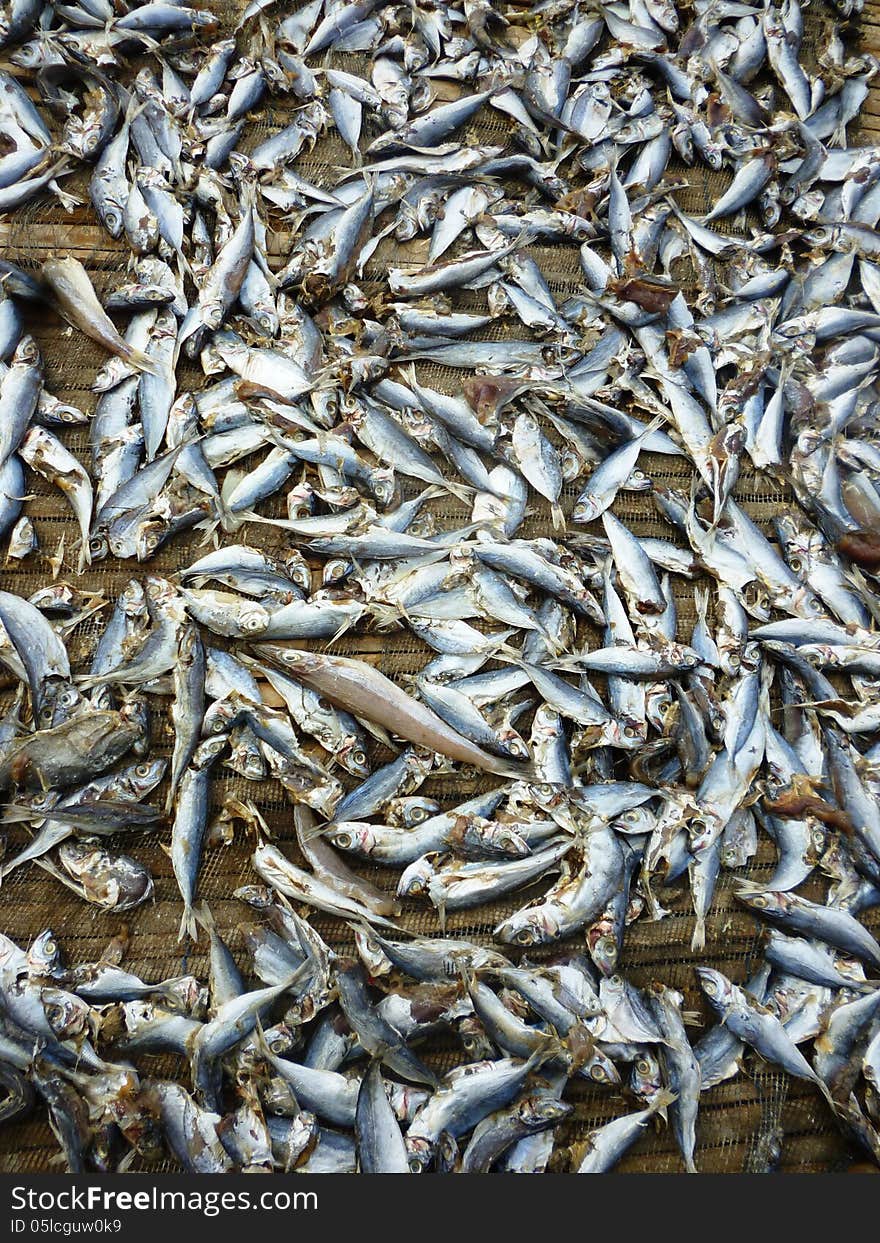 Drying fish