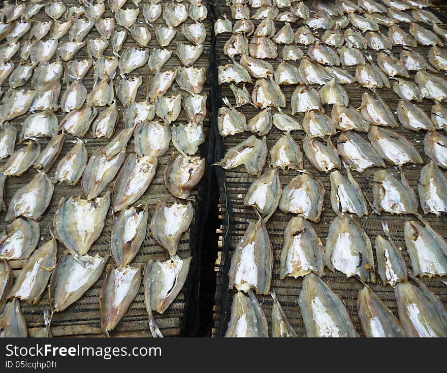 Drying fish for anchovies in the coastal areas in Indonesia