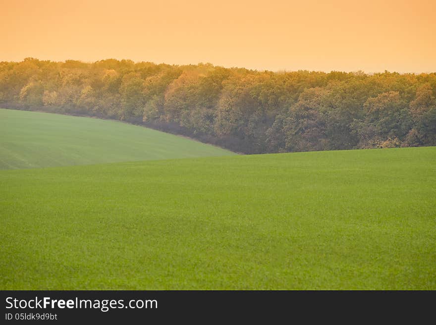 Green Field