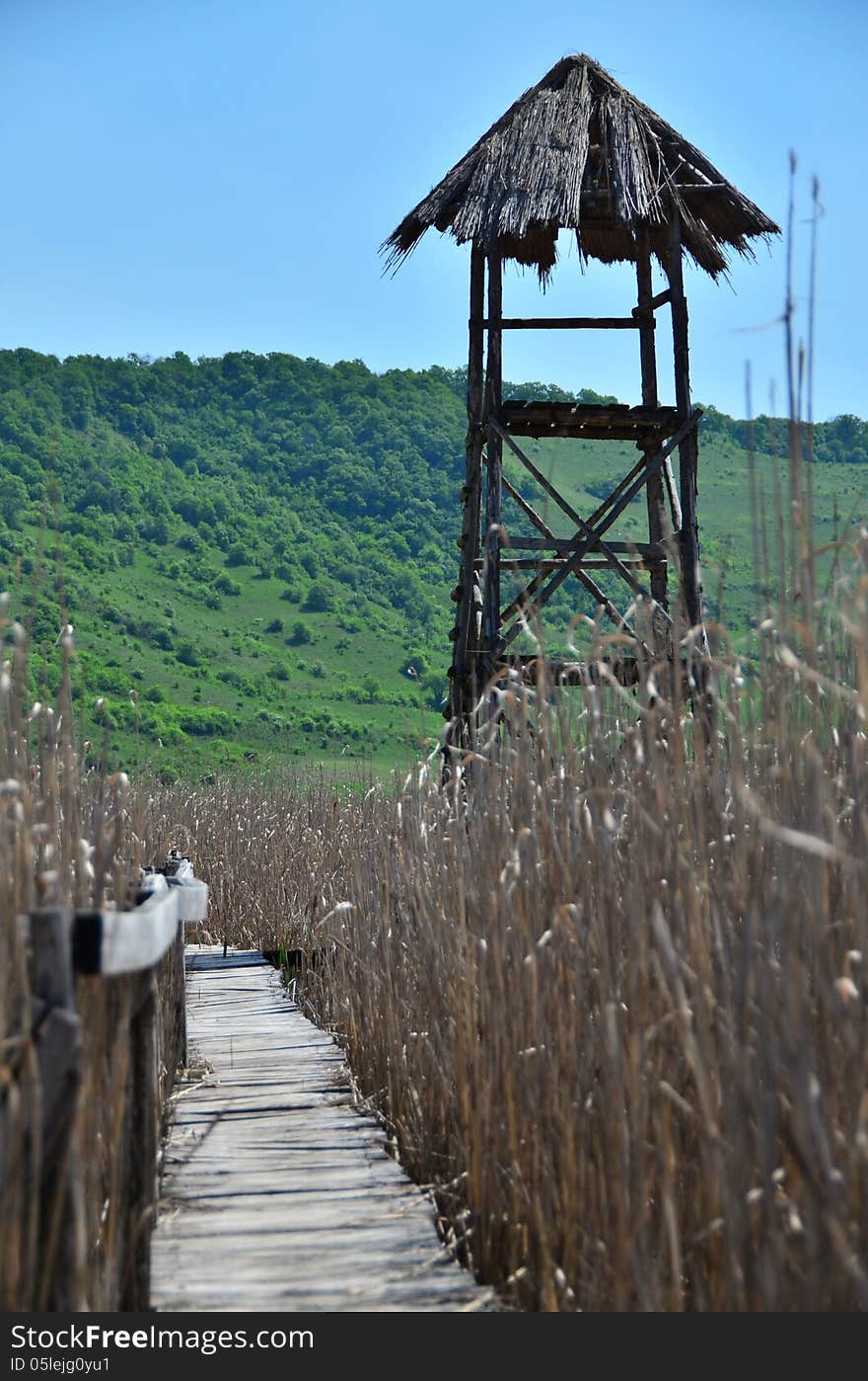 A bird observatory at reed reserve.