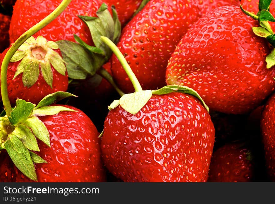 Background of Perfect Ripe Strawberries with Stems closeup. Background of Perfect Ripe Strawberries with Stems closeup