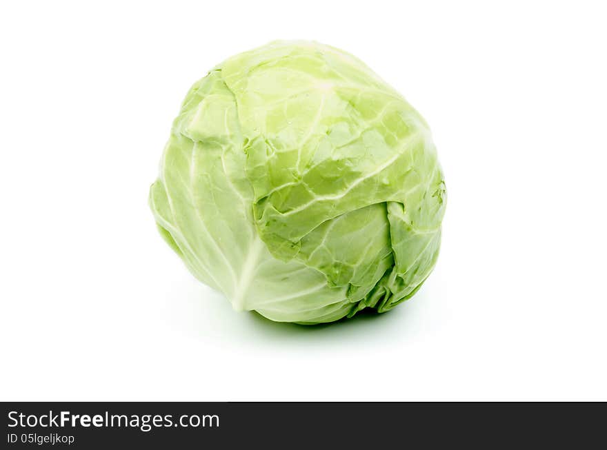 Raw Full Body Head of Cabbage on white